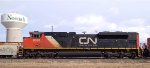 CN 8838